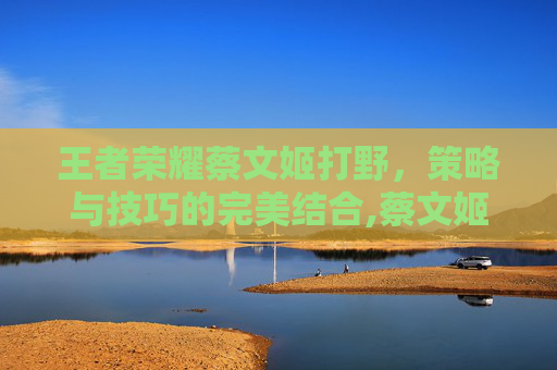 王者荣耀蔡文姬打野，策略与技巧的完美结合,蔡文姬打野什么意思