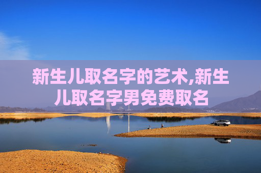 新生儿取名字的艺术,新生儿取名字男免费取名