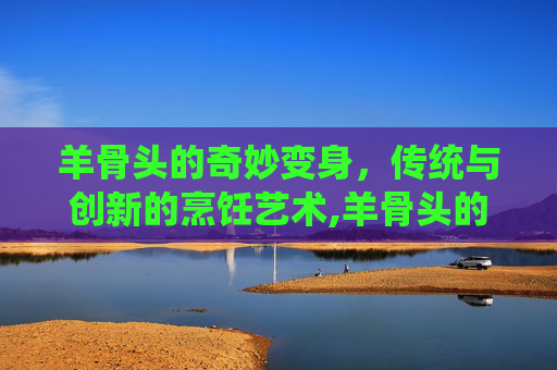 羊骨头的奇妙变身，传统与创新的烹饪艺术,羊骨头的做法大全家常