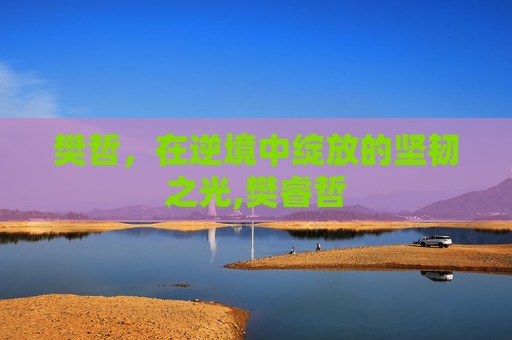 樊哲，在逆境中绽放的坚韧之光,樊睿哲