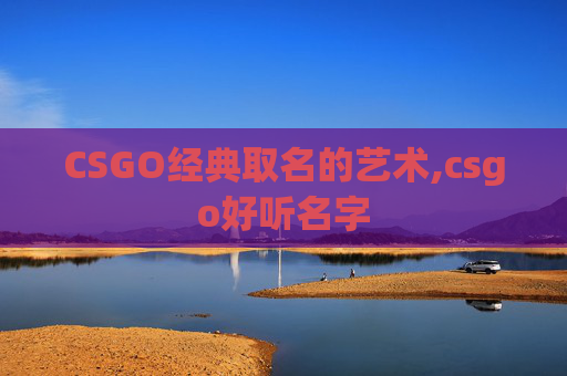 CSGO经典取名的艺术,csgo好听名字