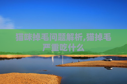 猫咪掉毛问题解析,猫掉毛严重吃什么
