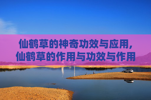 仙鹤草的神奇功效与应用,仙鹤草的作用与功效与作用