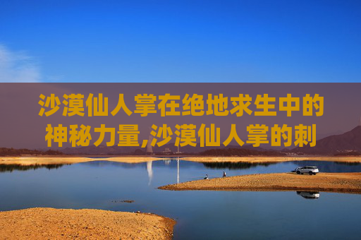 沙漠仙人掌在绝地求生中的神秘力量,沙漠仙人掌的刺起什么作用
