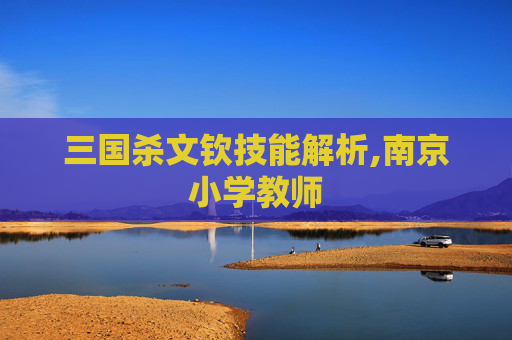 三国杀文钦技能解析,南京小学教师