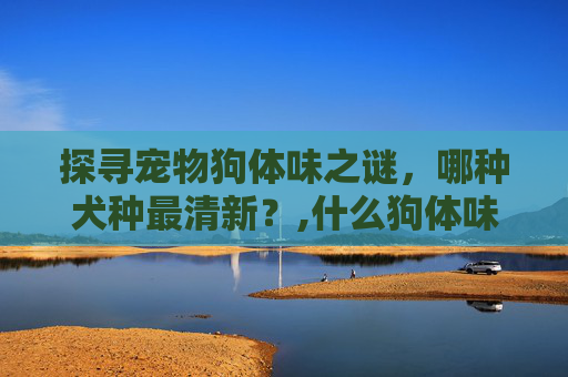 探寻宠物狗体味之谜，哪种犬种最清新？,什么狗体味最小不掉毛不乱叫