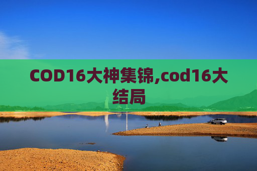 COD16大神集锦,cod16大结局