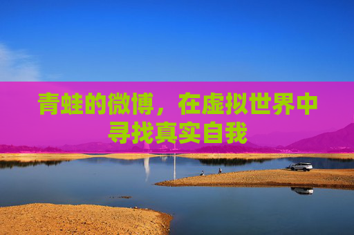 青蛙的微博，在虚拟世界中寻找真实自我
