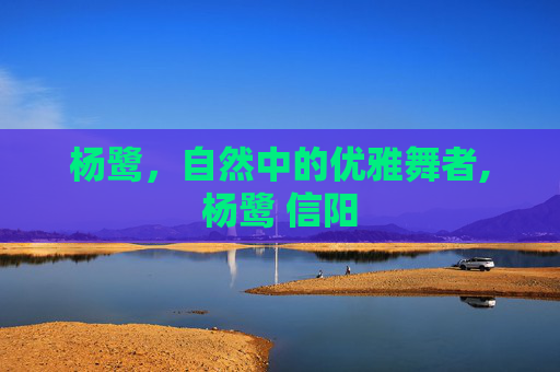 杨鹭，自然中的优雅舞者,杨鹭 信阳
