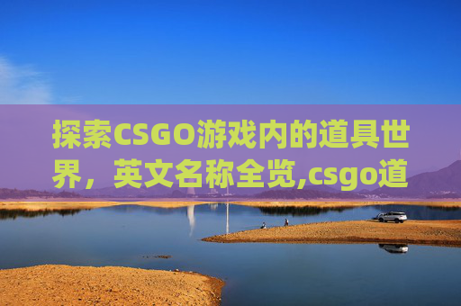 探索CSGO游戏内的道具世界，英文名称全览,csgo道具的英文名称怎么写