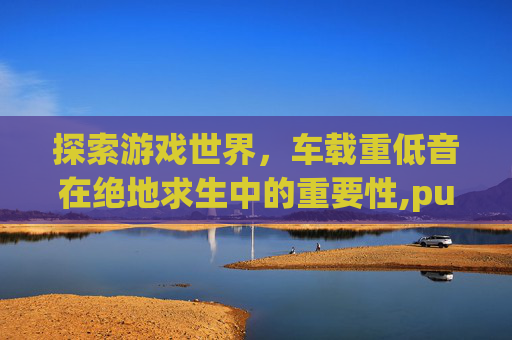 探索游戏世界，车载重低音在绝地求生中的重要性,pubg低音增强