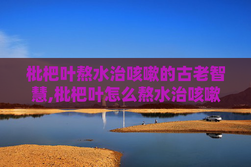 枇杷叶熬水治咳嗽的古老智慧,枇杷叶怎么熬水治咳嗽化痰