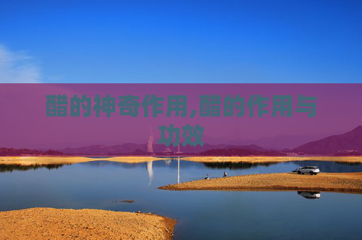 醋的神奇作用,醋的作用与功效