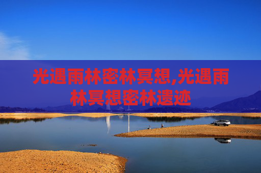 光遇雨林密林冥想,光遇雨林冥想密林遗迹