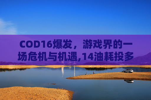 COD16爆发，游戏界的一场危机与机遇,14油耗投多少钱一公里