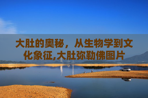 大肚的奥秘，从生物学到文化象征,大肚弥勒佛图片