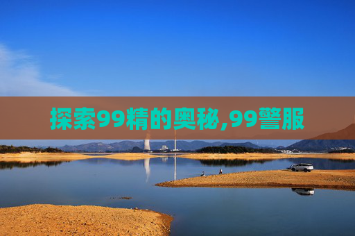 探索99精的奥秘,99警服
