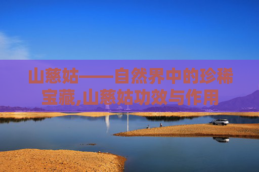 山慈姑——自然界中的珍稀宝藏,山慈姑功效与作用