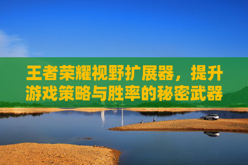 王者荣耀视野扩展器，提升游戏策略与胜率的秘密武器,王者荣耀视野扩展器怎么设置