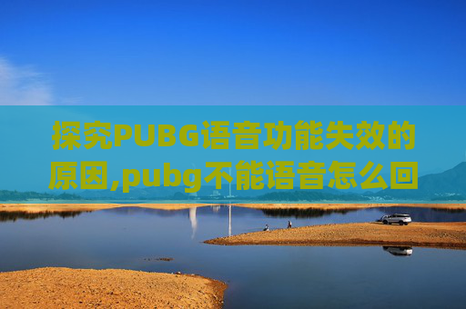 探究PUBG语音功能失效的原因,pubg不能语音怎么回事