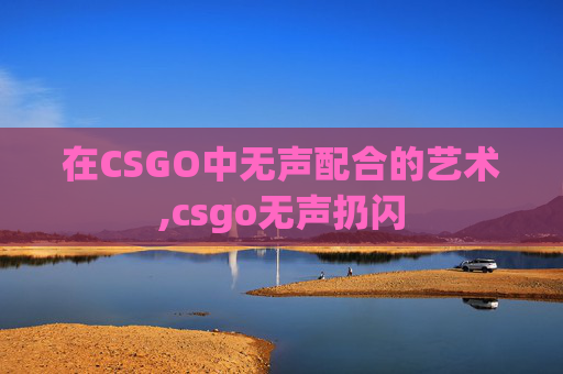 在CSGO中无声配合的艺术,csgo无声扔闪