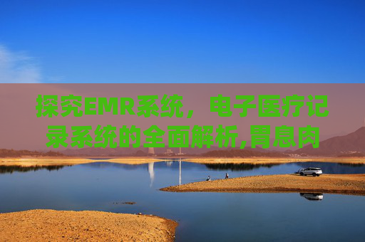 探究EMR系统，电子医疗记录系统的全面解析,胃息肉emr是什么意思