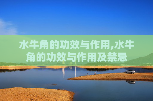 水牛角的功效与作用,水牛角的功效与作用及禁忌