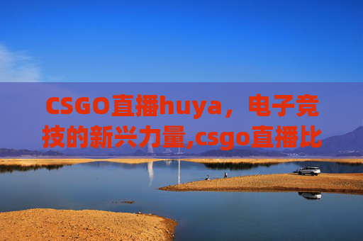CSGO直播huya，电子竞技的新兴力量,csgo直播比赛