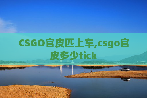 CSGO官皮匹上车,csgo官皮多少tick