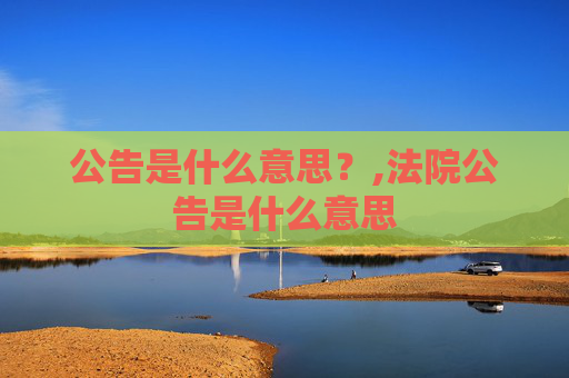 公告是什么意思？,法院公告是什么意思
