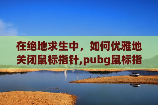 在绝地求生中，如何优雅地关闭鼠标指针,pubg鼠标指针精确度要关吗