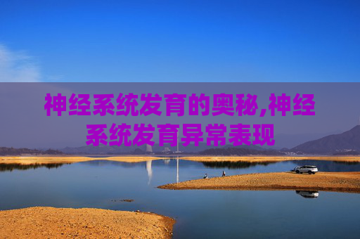 神经系统发育的奥秘,神经系统发育异常表现