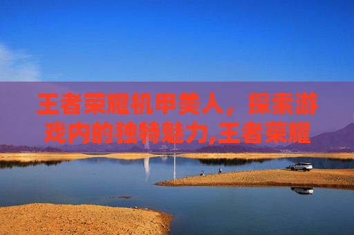 王者荣耀机甲美人，探索游戏内的独特魅力,王者荣耀机甲系列集合吧