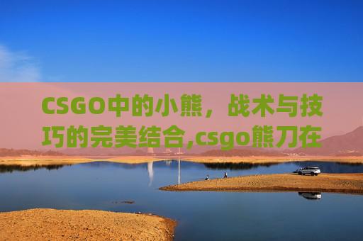 CSGO中的小熊，战术与技巧的完美结合,csgo熊刀在哪开