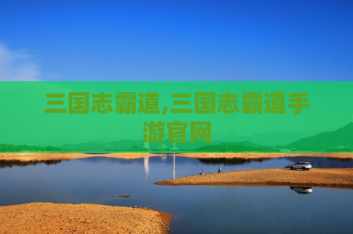 三国志霸道,三国志霸道手游官网