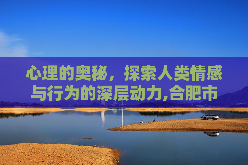 心理的奥秘，探索人类情感与行为的深层动力,合肥市徽州小学开展心理课