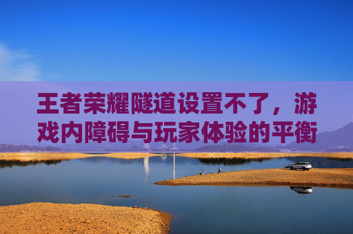 王者荣耀隧道设置不了，游戏内障碍与玩家体验的平衡,南京小学教师