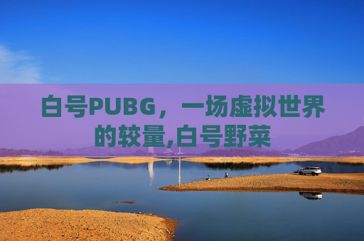 白号PUBG，一场虚拟世界的较量,白号野菜