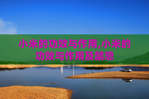 小米的功效与作用,小米的功效与作用及禁忌