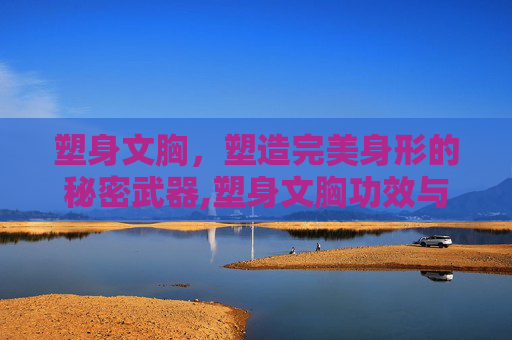 塑身文胸，塑造完美身形的秘密武器,塑身文胸功效与作用