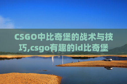 CSGO中比奇堡的战术与技巧,csgo有趣的id比奇堡