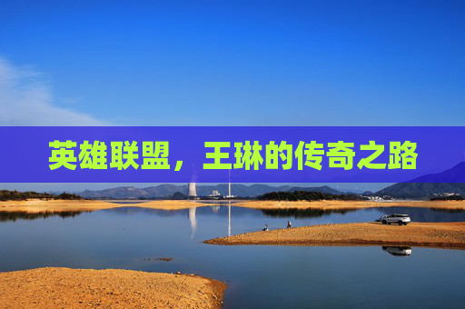 英雄联盟，王琳的传奇之路