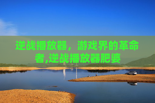 逆战播放器，游戏界的革命者,逆战播放器肥婆