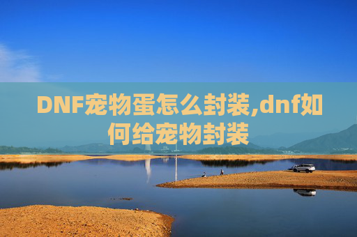 DNF宠物蛋怎么封装,dnf如何给宠物封装