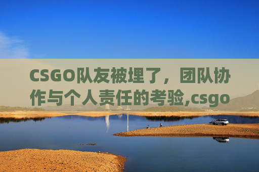 CSGO队友被埋了，团队协作与个人责任的考验,csgo不小心杀队友封多久