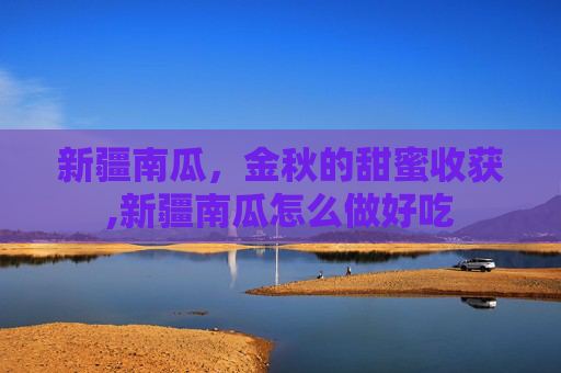 新疆南瓜，金秋的甜蜜收获,新疆南瓜怎么做好吃