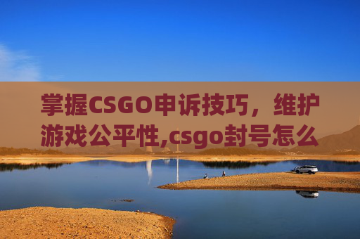掌握CSGO申诉技巧，维护游戏公平性,csgo封号怎么申诉