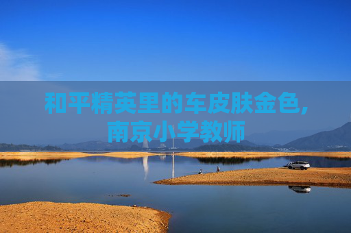 和平精英里的车皮肤金色,南京小学教师