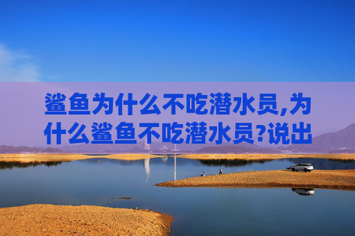 鲨鱼为什么不吃潜水员,为什么鲨鱼不吃潜水员?说出来你都不敢相信