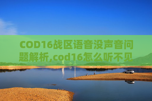 COD16战区语音没声音问题解析,cod16怎么听不见语音